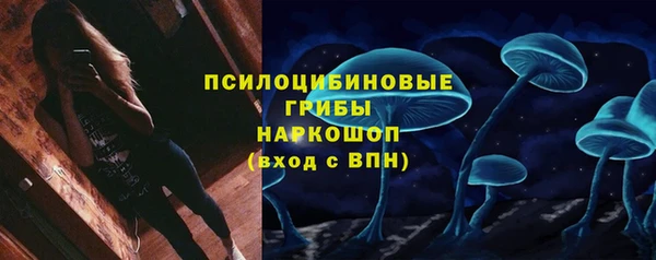 дурь Богородск