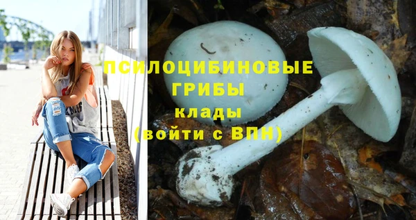 дурь Богородск