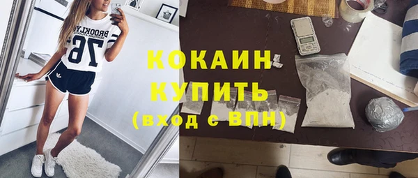дурь Богородицк