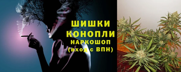 крисы Богданович