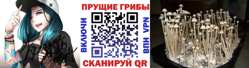 darknet наркотические препараты  ссылка на мегу ONION  Псилоцибиновые грибы ЛСД  Калуга  купить закладку 