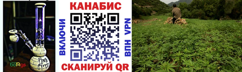 Канабис планчик  Калуга 